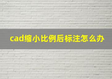 cad缩小比例后标注怎么办