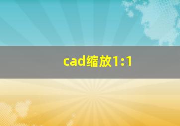 cad缩放1:1