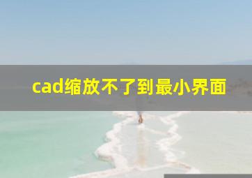 cad缩放不了到最小界面