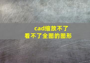 cad缩放不了看不了全图的图形