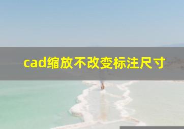 cad缩放不改变标注尺寸