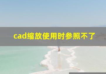 cad缩放使用时参照不了