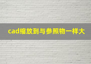 cad缩放到与参照物一样大