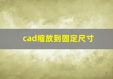 cad缩放到固定尺寸