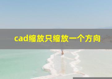 cad缩放只缩放一个方向