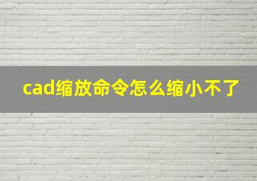 cad缩放命令怎么缩小不了