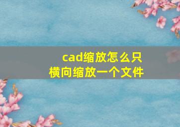 cad缩放怎么只横向缩放一个文件