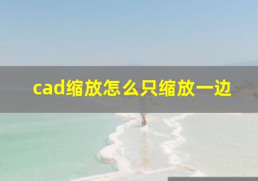 cad缩放怎么只缩放一边