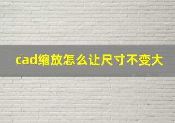 cad缩放怎么让尺寸不变大