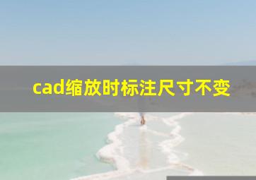 cad缩放时标注尺寸不变