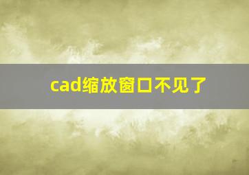 cad缩放窗口不见了