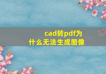 cad转pdf为什么无法生成图像