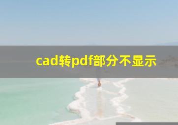 cad转pdf部分不显示