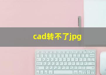 cad转不了jpg