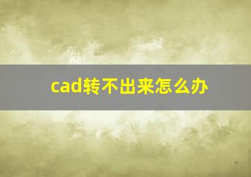 cad转不出来怎么办