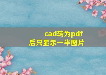 cad转为pdf后只显示一半图片