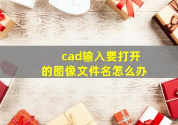 cad输入要打开的图像文件名怎么办