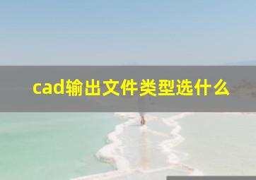 cad输出文件类型选什么