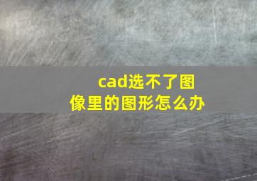 cad选不了图像里的图形怎么办