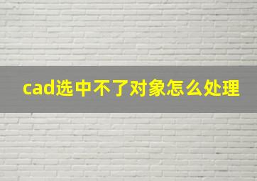 cad选中不了对象怎么处理