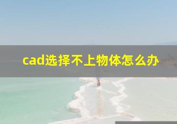 cad选择不上物体怎么办