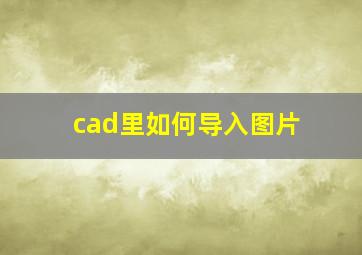 cad里如何导入图片