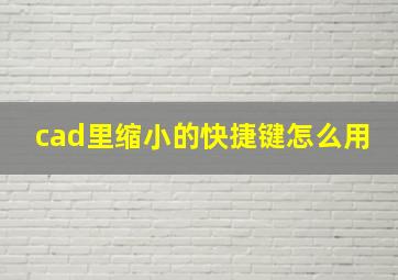 cad里缩小的快捷键怎么用