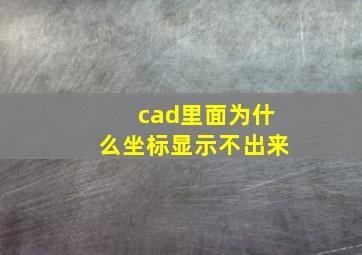 cad里面为什么坐标显示不出来