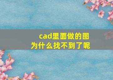 cad里面做的图为什么找不到了呢