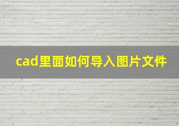 cad里面如何导入图片文件