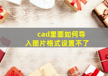 cad里面如何导入图片格式设置不了