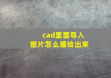 cad里面导入图片怎么描绘出来