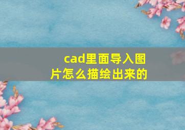 cad里面导入图片怎么描绘出来的