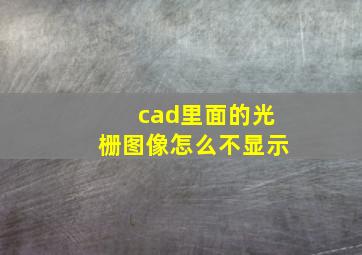 cad里面的光栅图像怎么不显示