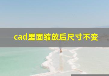 cad里面缩放后尺寸不变