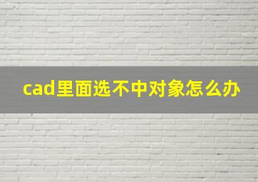 cad里面选不中对象怎么办