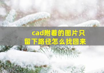 cad附着的图片只留下路径怎么找回来