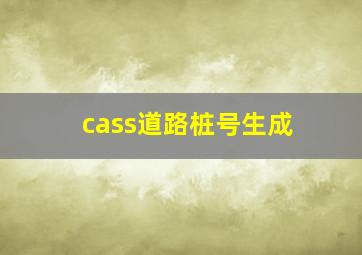 cass道路桩号生成