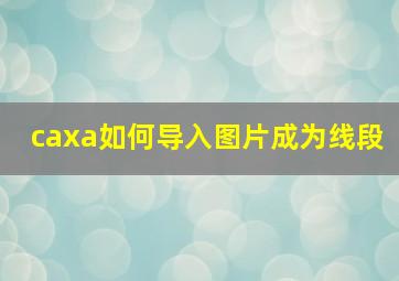 caxa如何导入图片成为线段