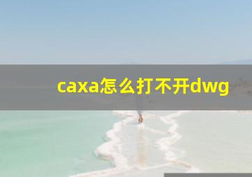 caxa怎么打不开dwg