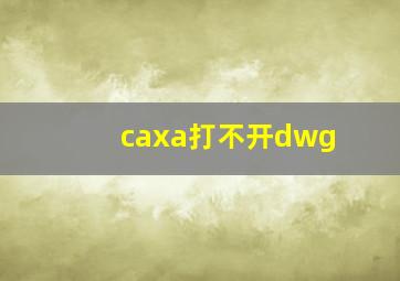 caxa打不开dwg