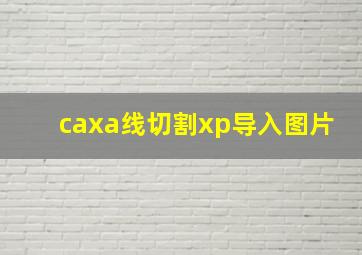 caxa线切割xp导入图片