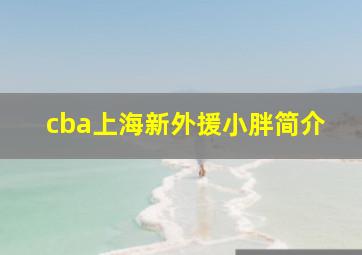 cba上海新外援小胖简介