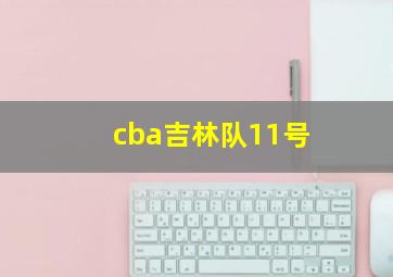 cba吉林队11号