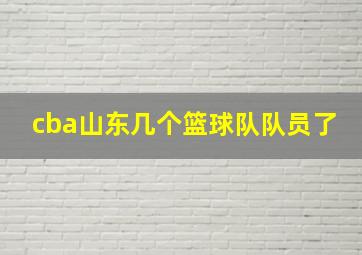 cba山东几个篮球队队员了