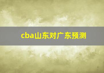 cba山东对广东预测