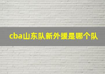 cba山东队新外援是哪个队