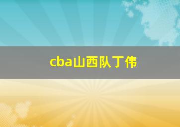 cba山西队丁伟