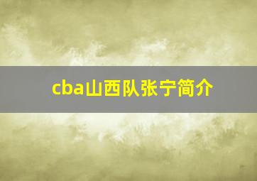 cba山西队张宁简介