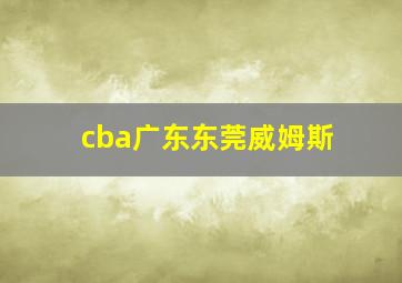 cba广东东莞威姆斯